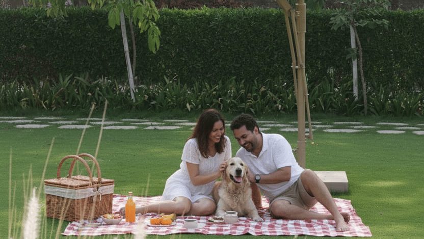 Lawn picnic – Juna Mahal Resort Ranthambore