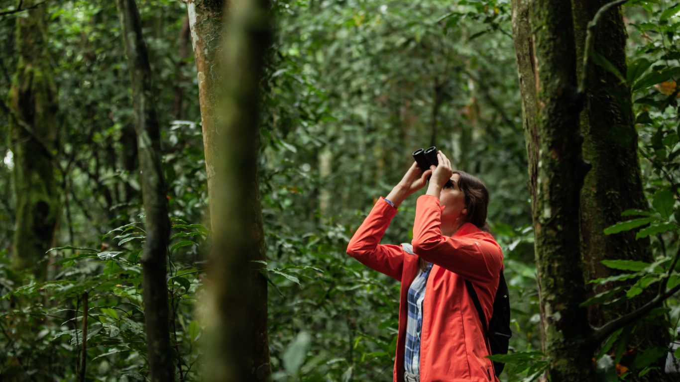Jungle Safari Bucket List – Exciting Activities to Try