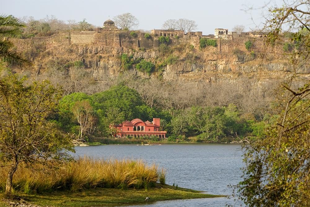 Padam Talao lake and Ranthambore Fort view