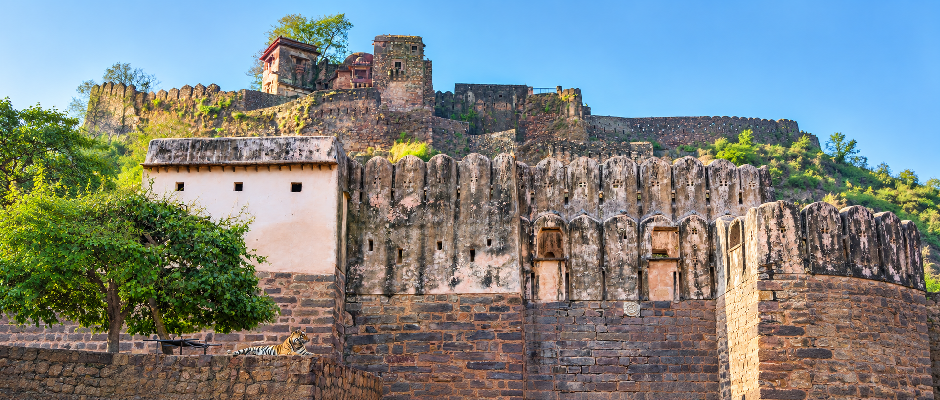 Meets Wildlife – Ranthambore tiger safari with Wildaddis
