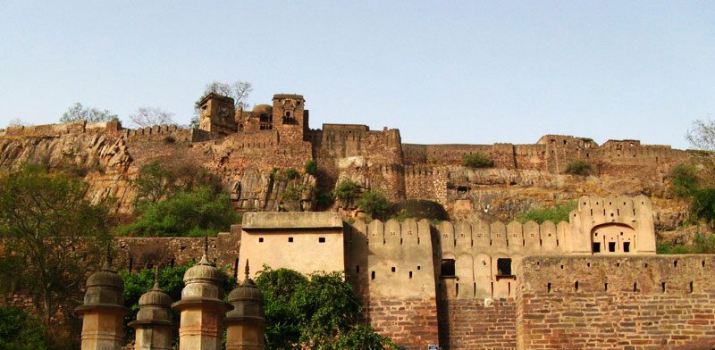 Ranthambore National Park – Wildaddis Ranthambore Safari