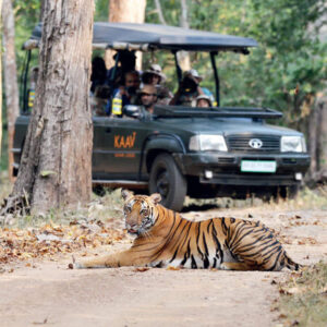 Tatkal Separate Jeep Indian