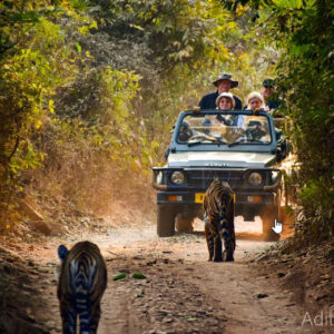 Tatkal Separate Jeep Foreigner